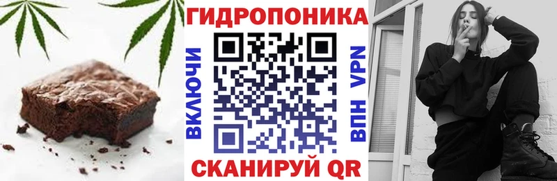 KRAKEN зеркало  Гудермес  Печенье с ТГК марихуана 