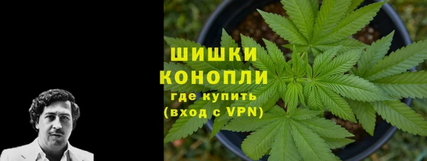 гашик Белокуриха