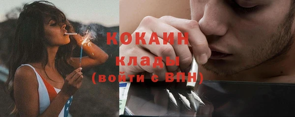 гашик Белокуриха