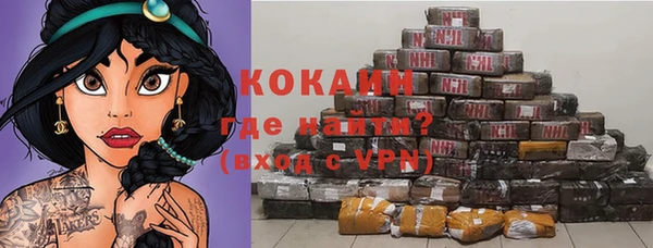 гашик Белокуриха