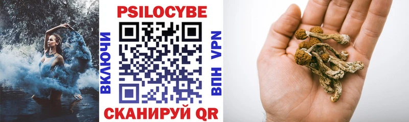 Псилоцибиновые грибы мухоморы Гудермес