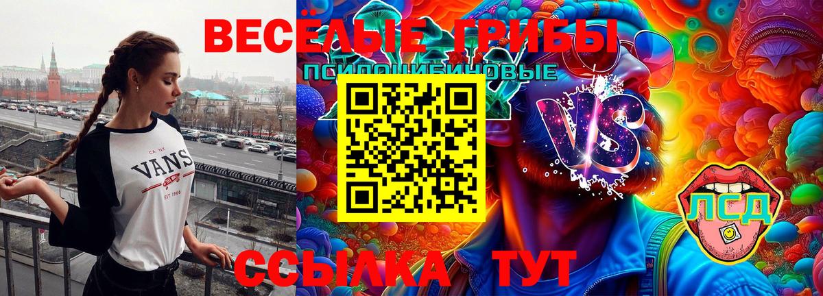 Псилоцибиновые грибы мухоморы Гудермес
